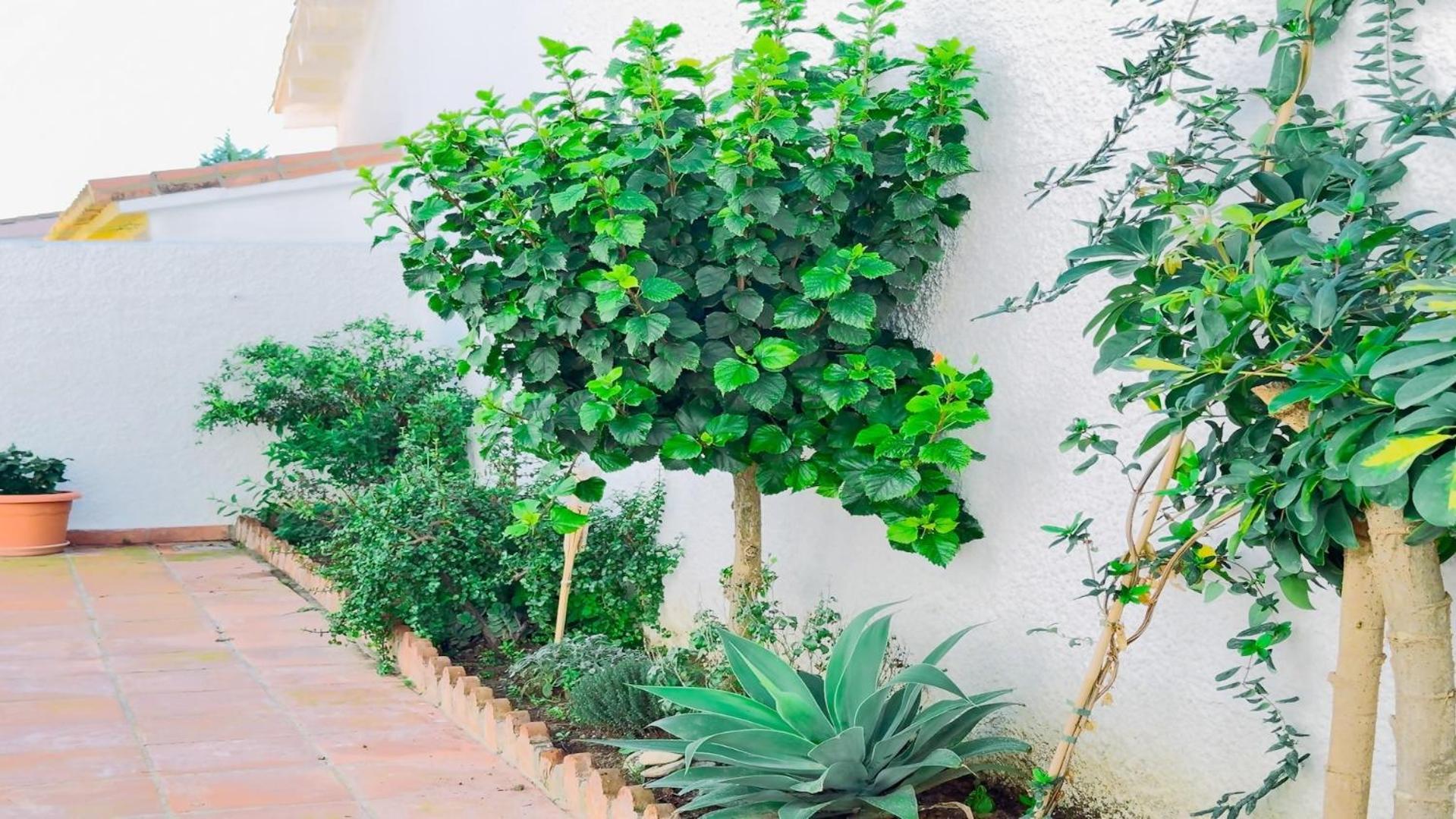 Vivienda Con Encanto Goya Nº4 베날마데나코스타 외부 사진